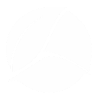 Ícone Florestal Jr